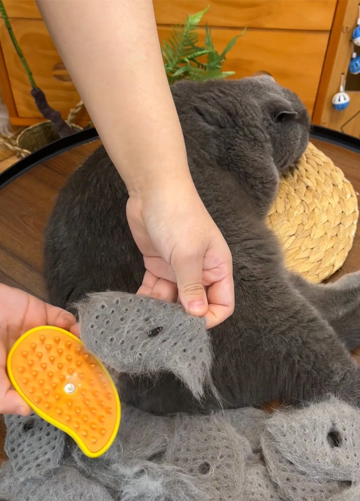 BreezeBrush™-Pet Groom Brush (70% OFF TODAY)