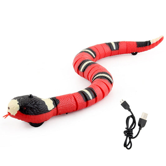 Smart Sensing Snake™