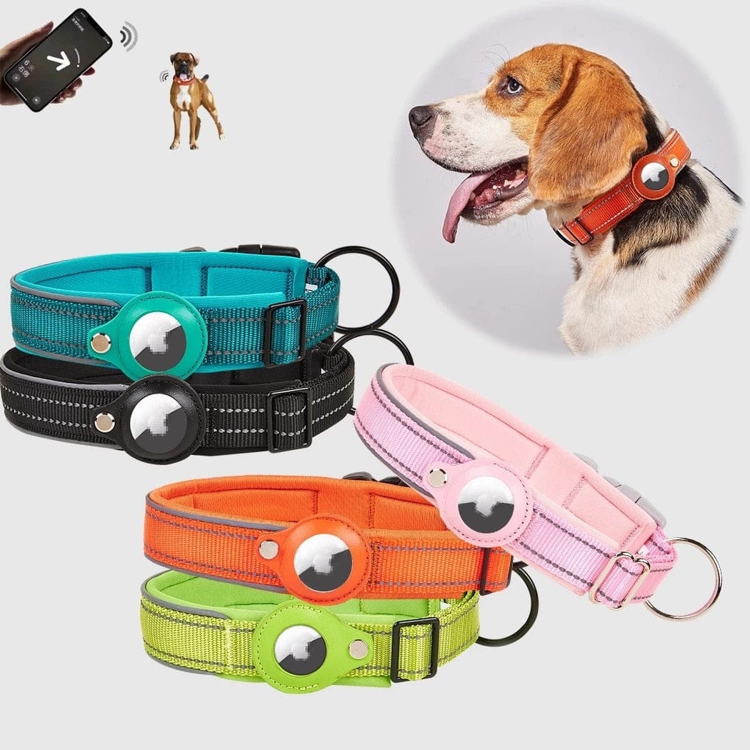 Airtag Dog Collar Non VIP Offer