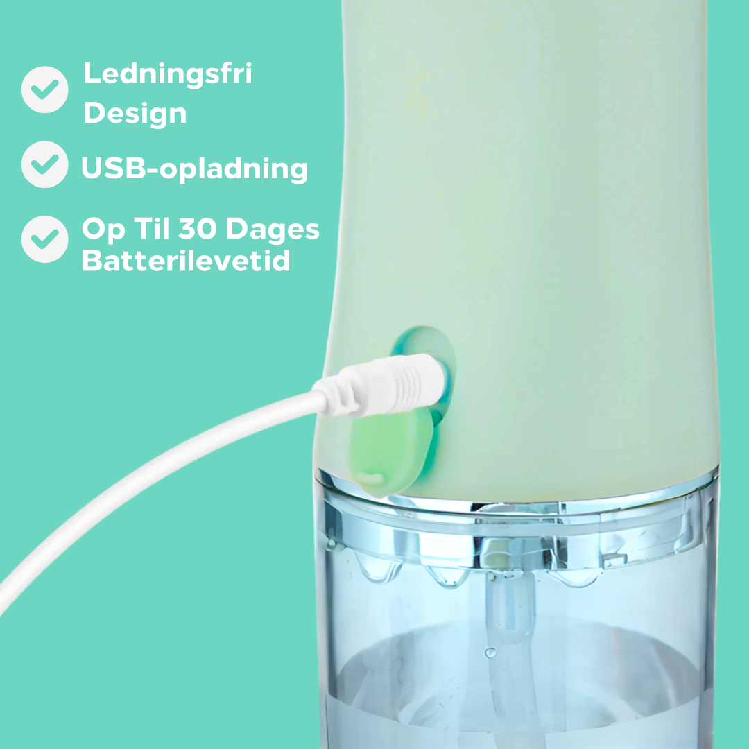 Lanneve AquaFlosser
