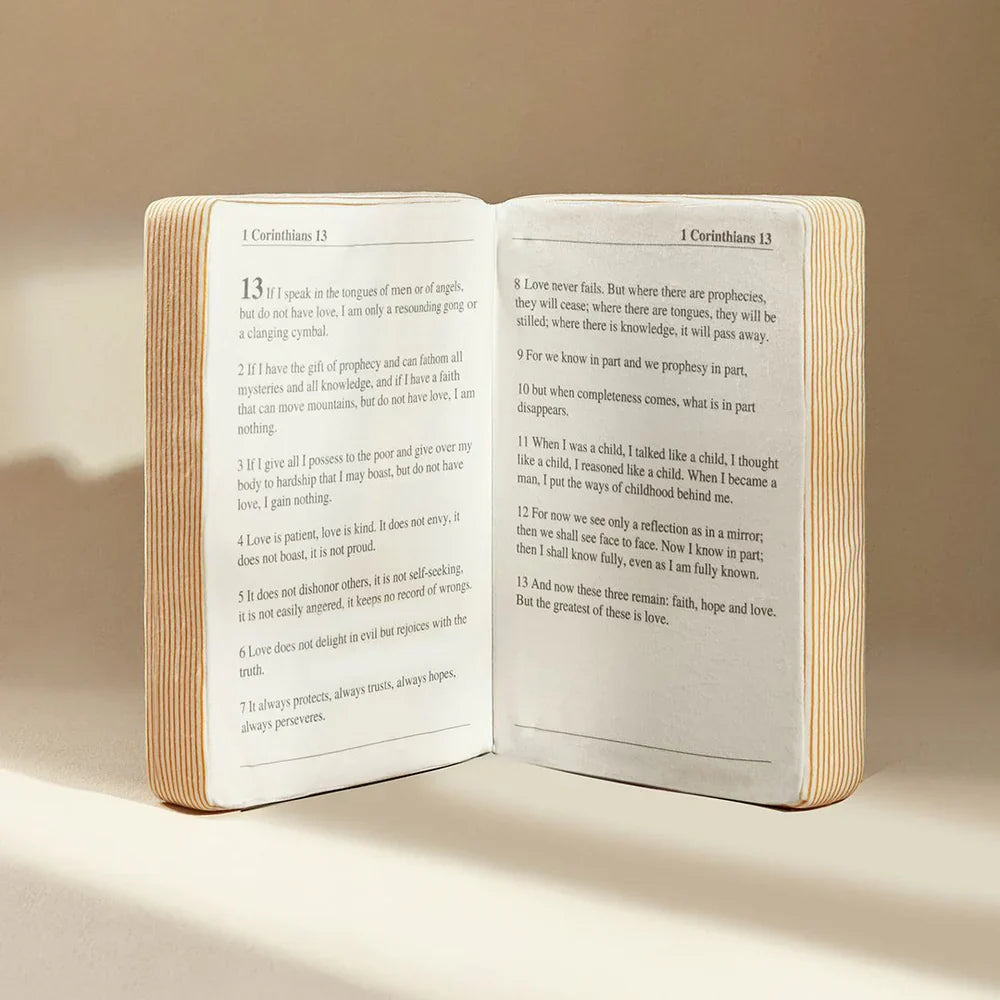 Holy Bible Pillow Book