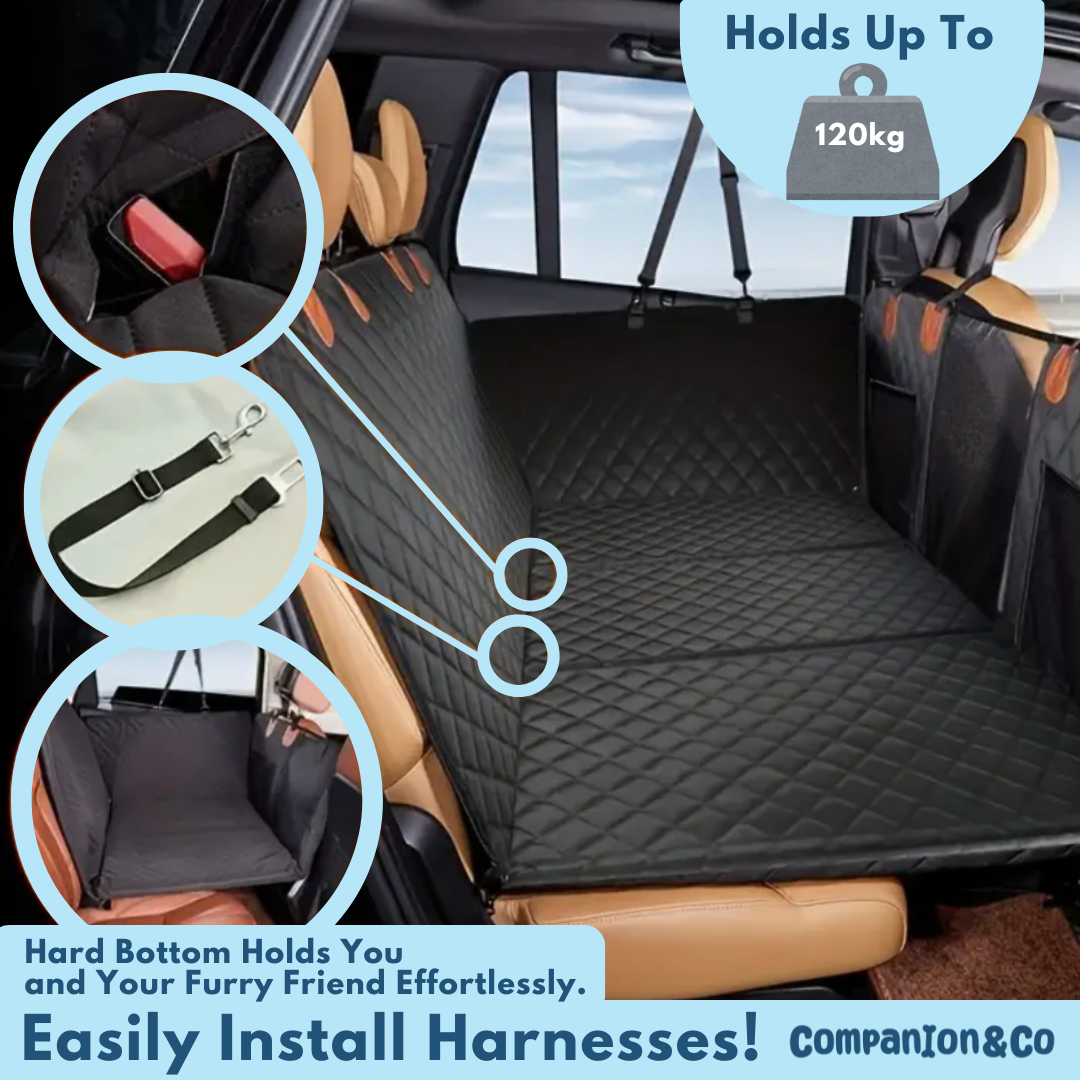 Companion Co Hard Bottom Dog Seat