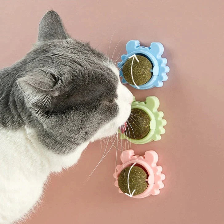 Catnip Rolly Ball (Buy 1 Get 1 Free)