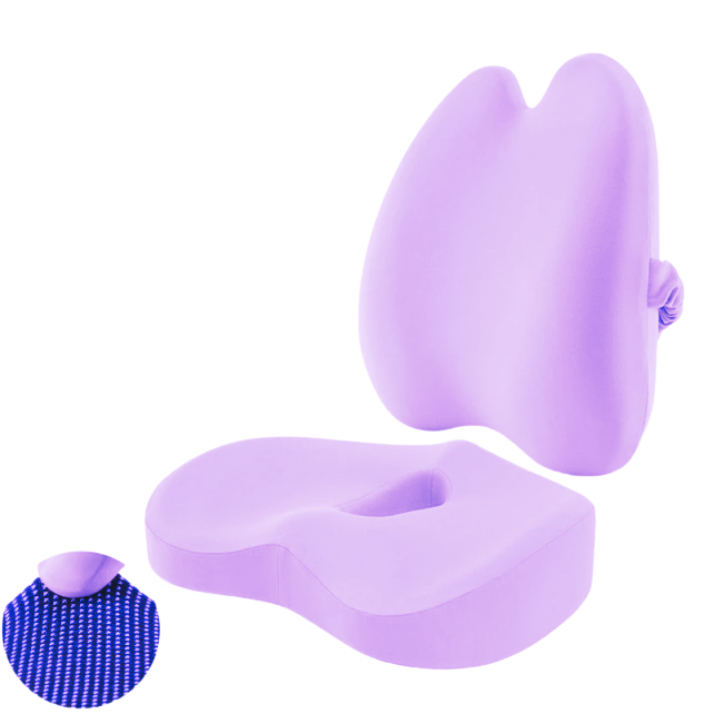 BlissLab Back Relief Cushion and Lumbar Set