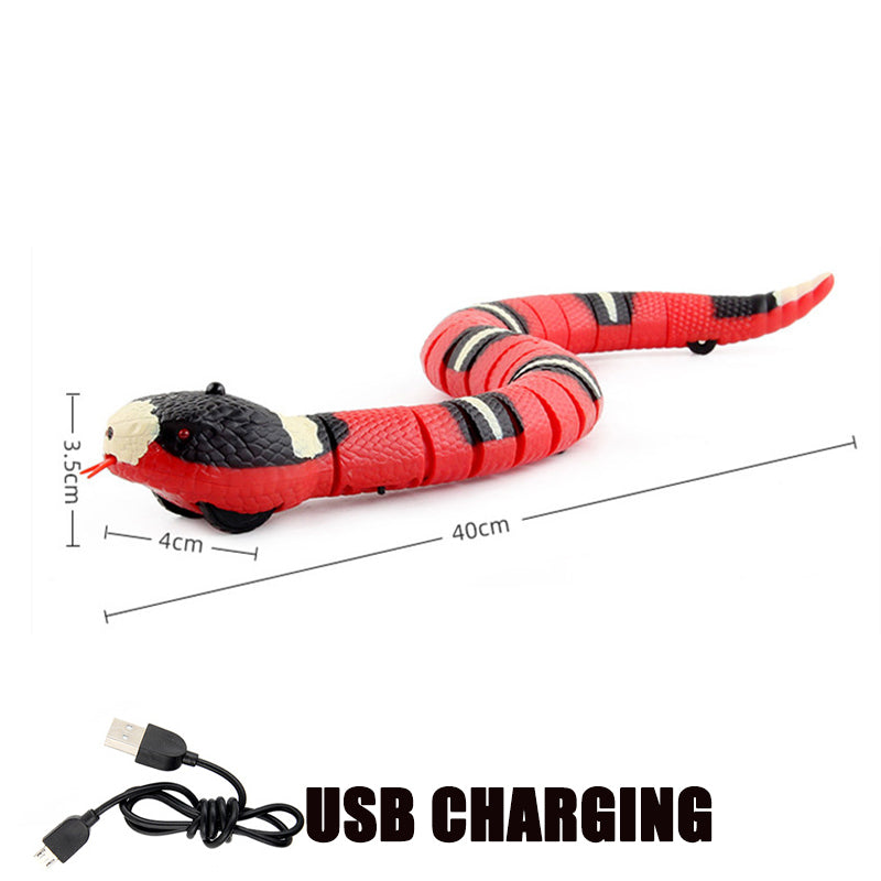 Smart Sensing Snake™