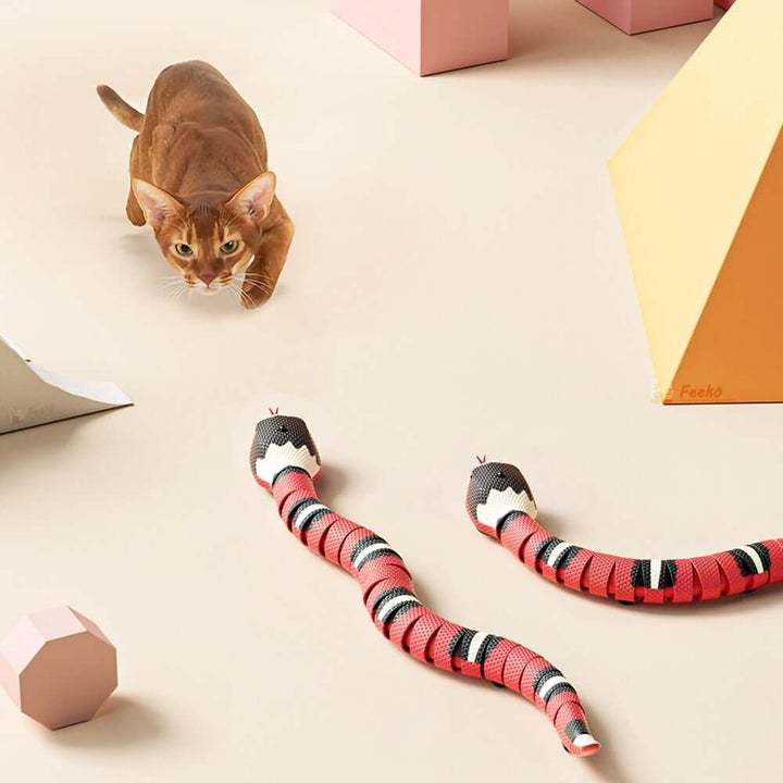 Smart Sensing Snake™