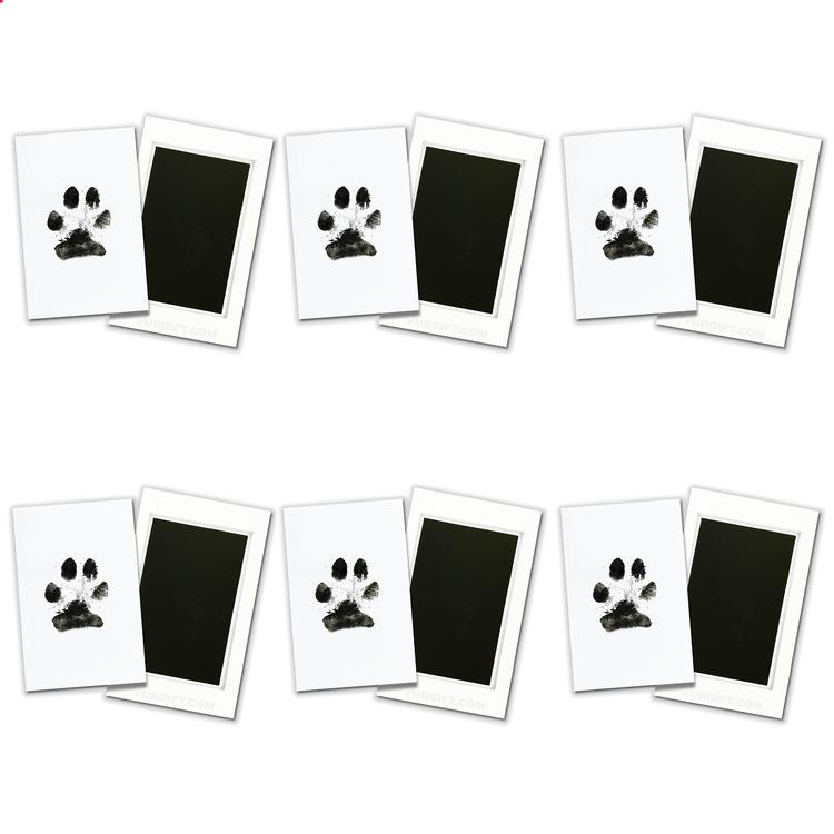 Paw Print Stamp Pad