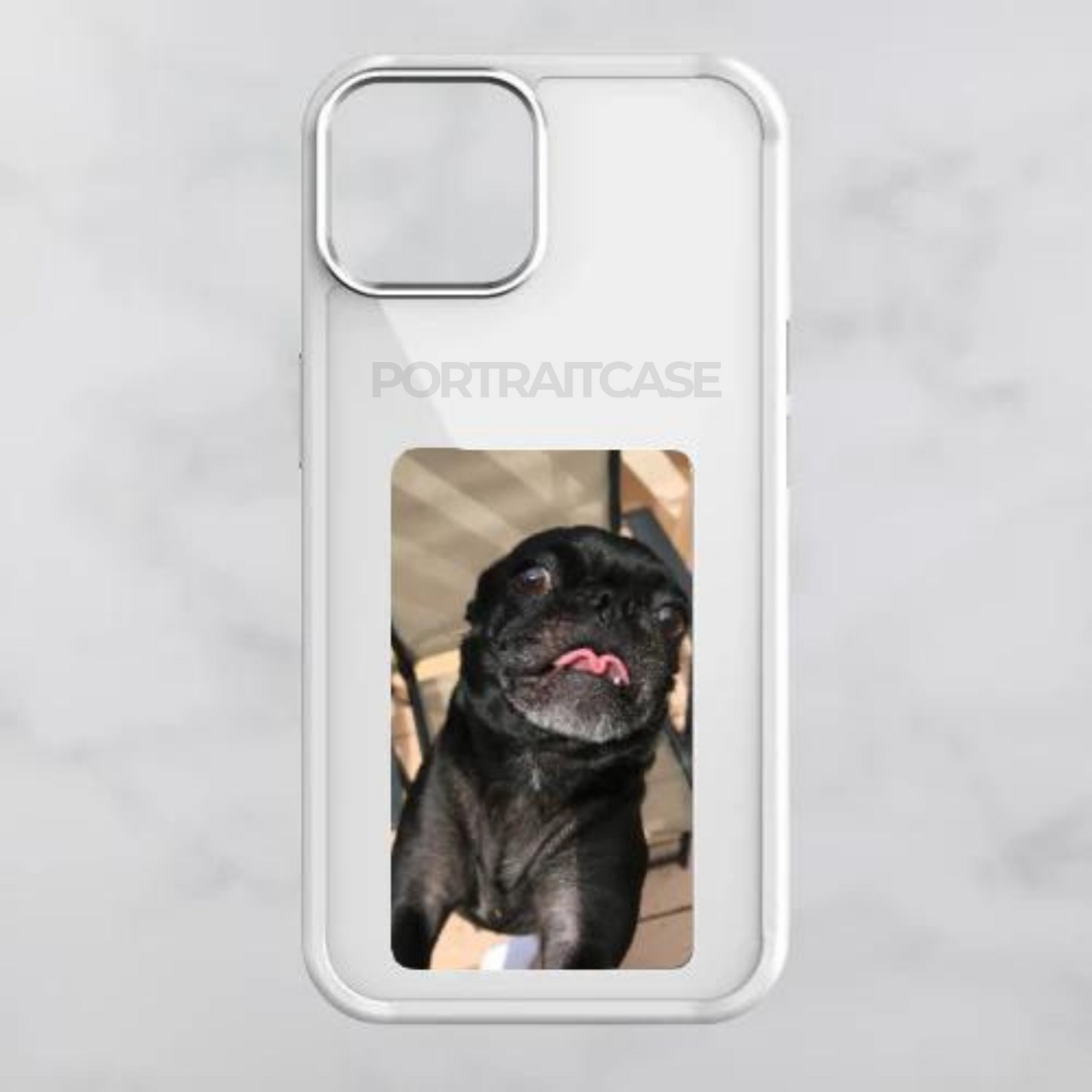 THE PORTRAIT CASE