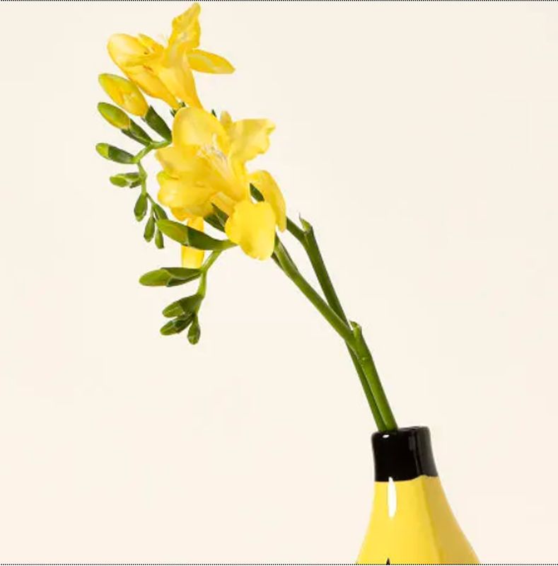 Banarama Vase