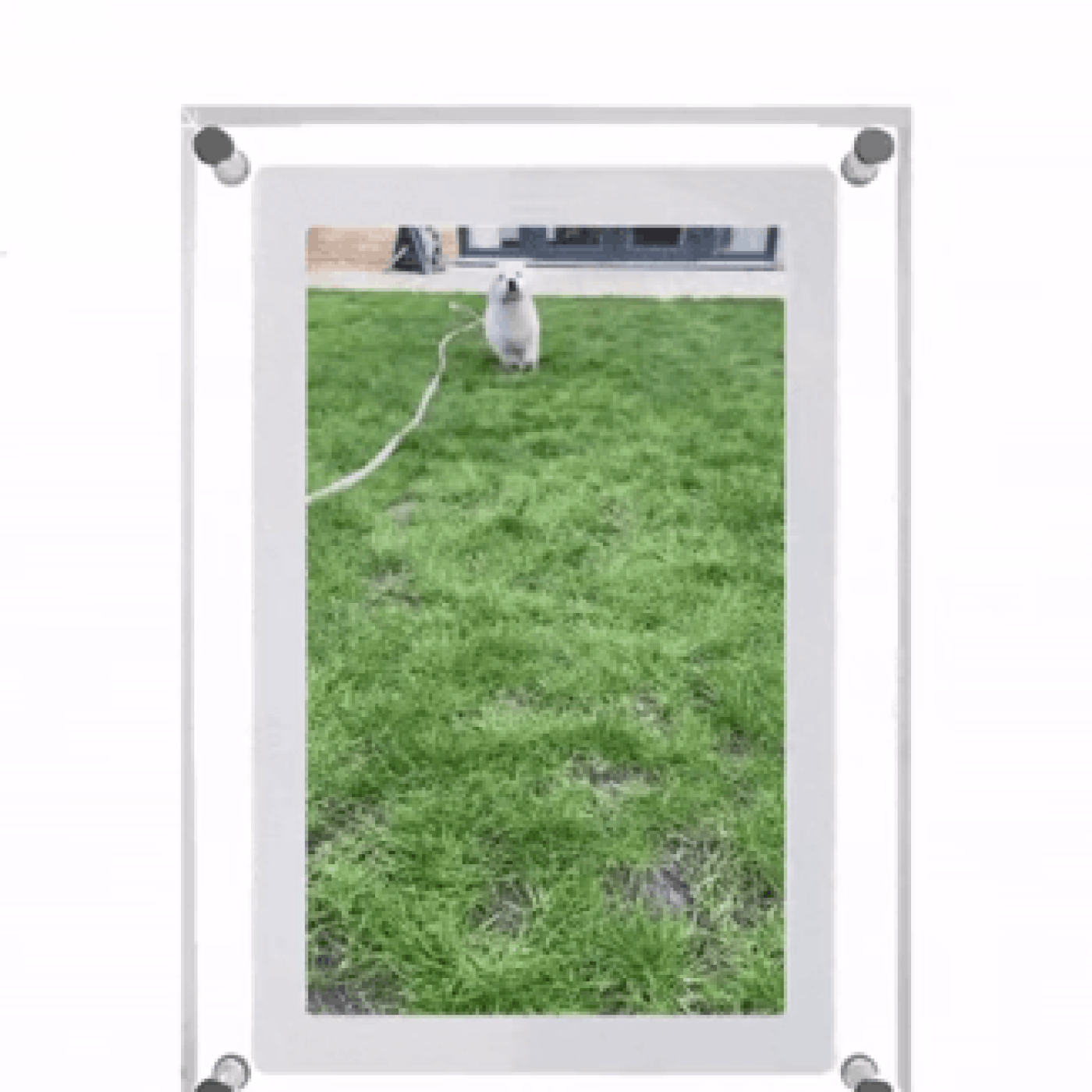 Treasured Memory Digital Frame