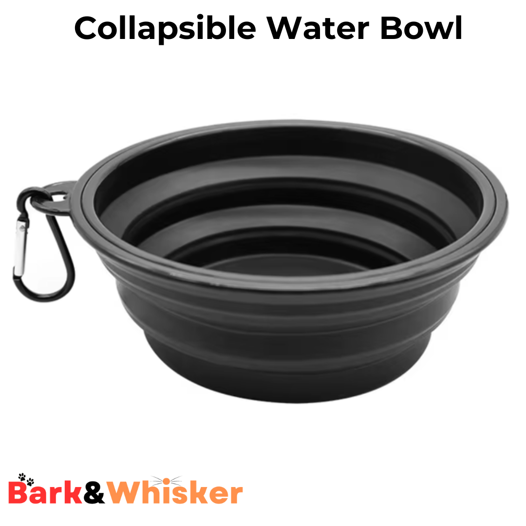 Collapsible Water Bowl