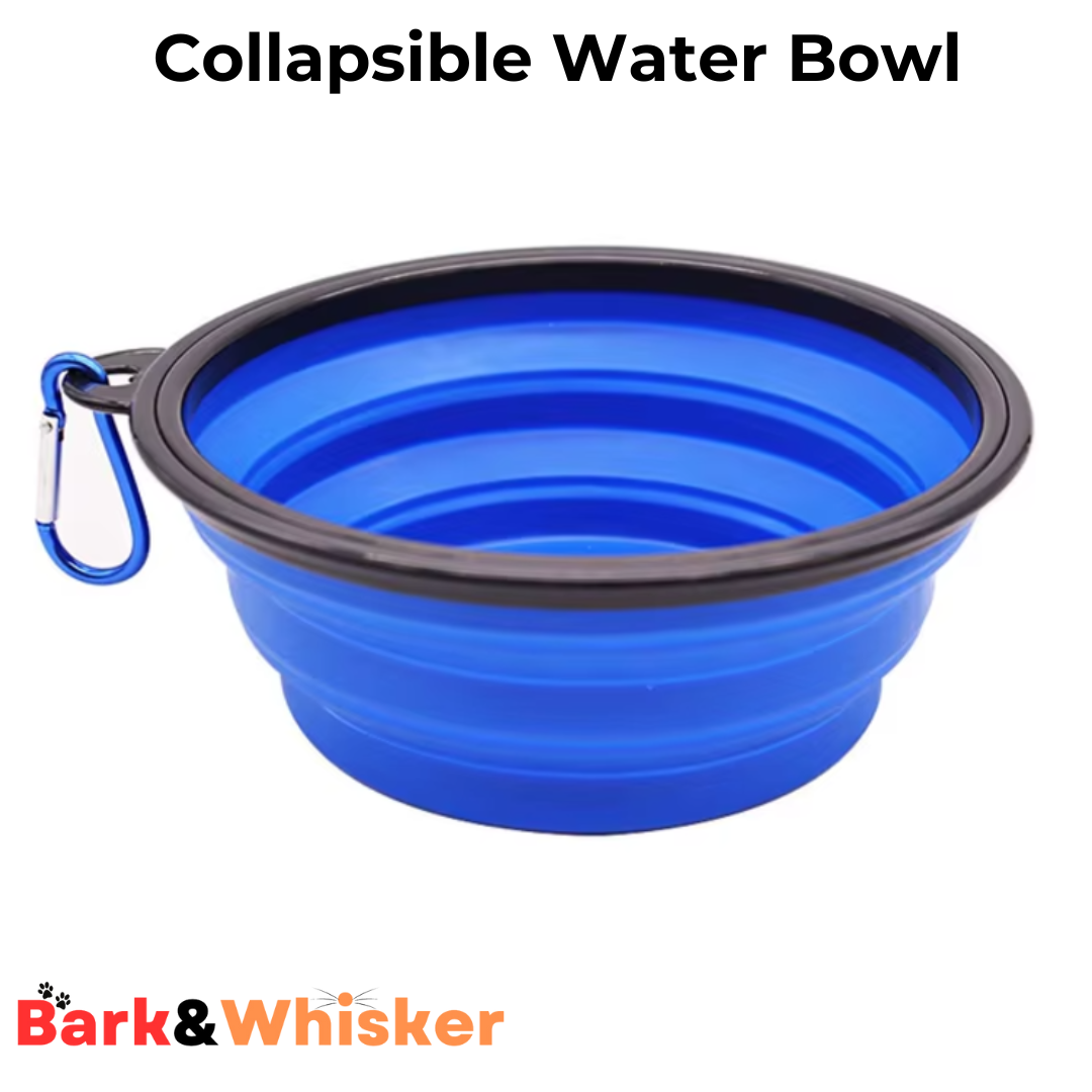 Collapsible Water Bowl