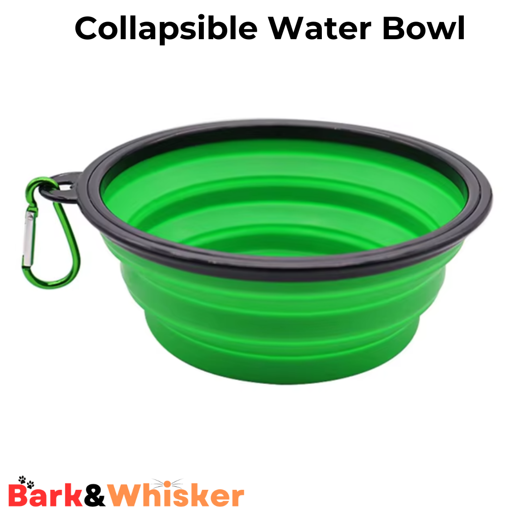 Collapsible Water Bowl