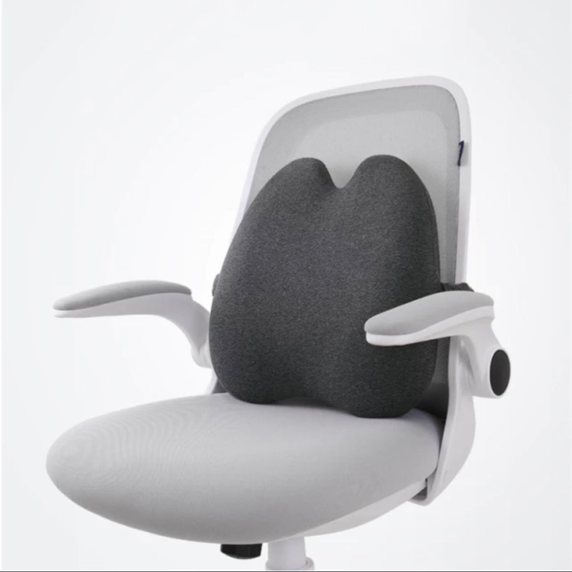 BlissLab Back Relief Cushion and Lumbar Set