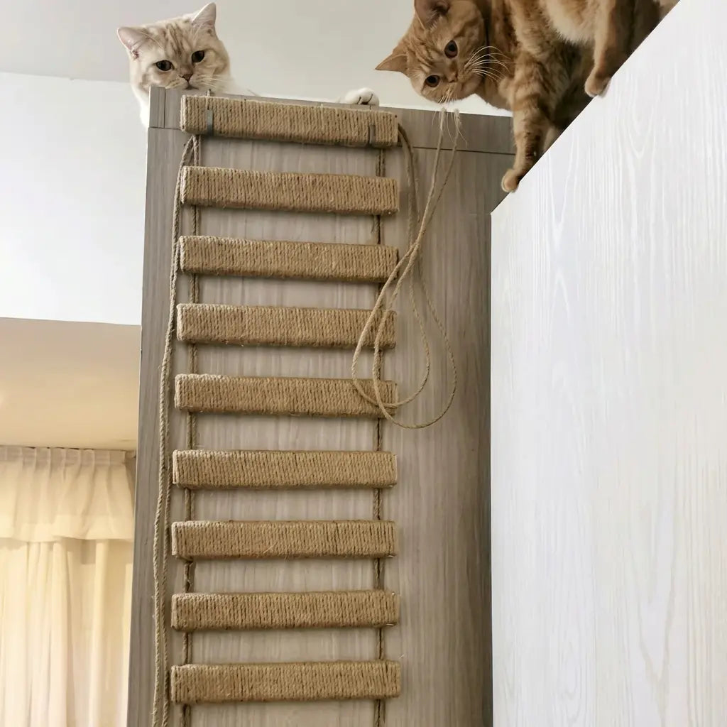 100 X 25cm Medium Ladder Scratcher