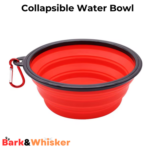 Collapsible Water Bowl