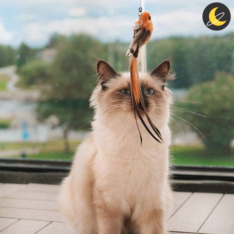 Birdy Cat Toy™