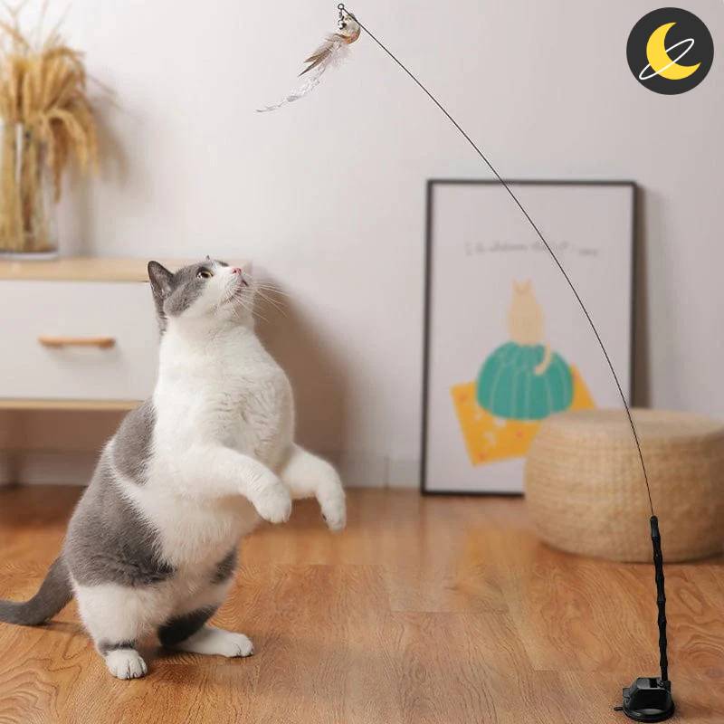 Birdy Cat Toy™
