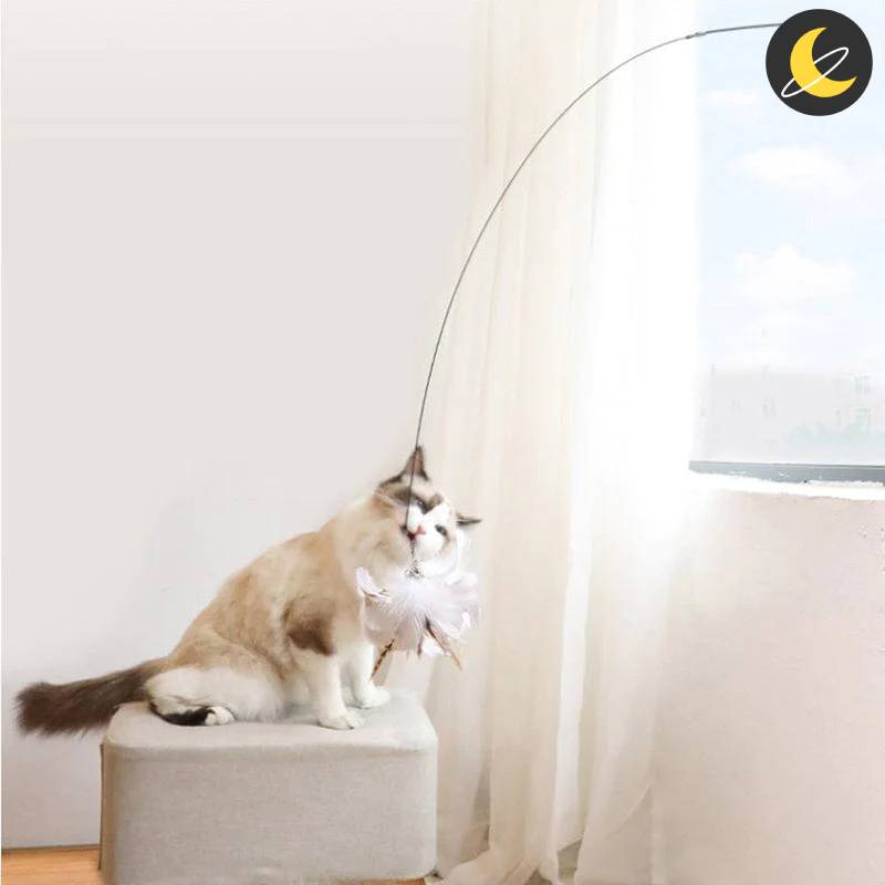 Birdy Cat Toy™