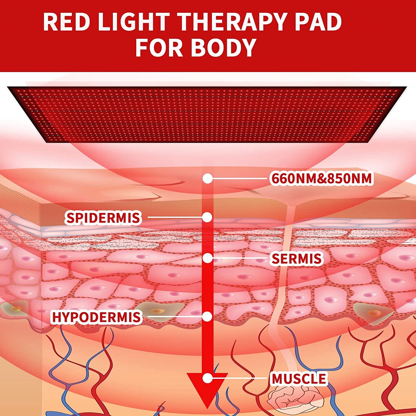 The Red Light Therapy Heat Pad