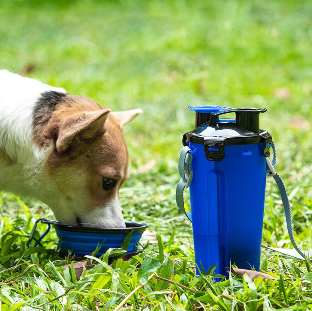 Fluffy™ 2-in-1 Bottle