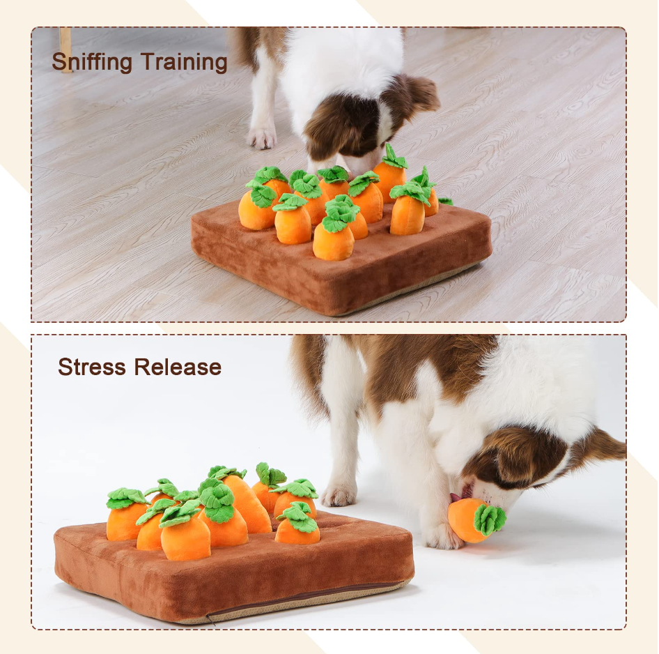 Pet Carrot Training/Stress Relief Plush™