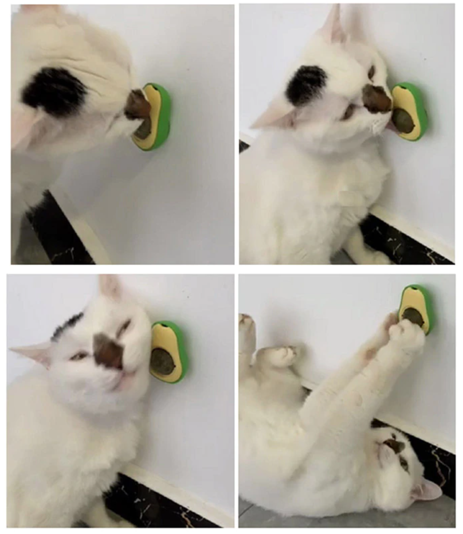 Avocado Style Catnip Balls™
