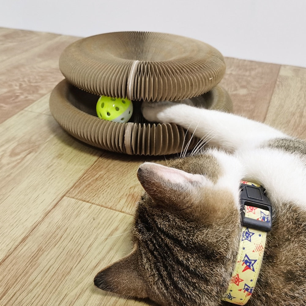 Fluffy™ Slinky Cat Scratching
