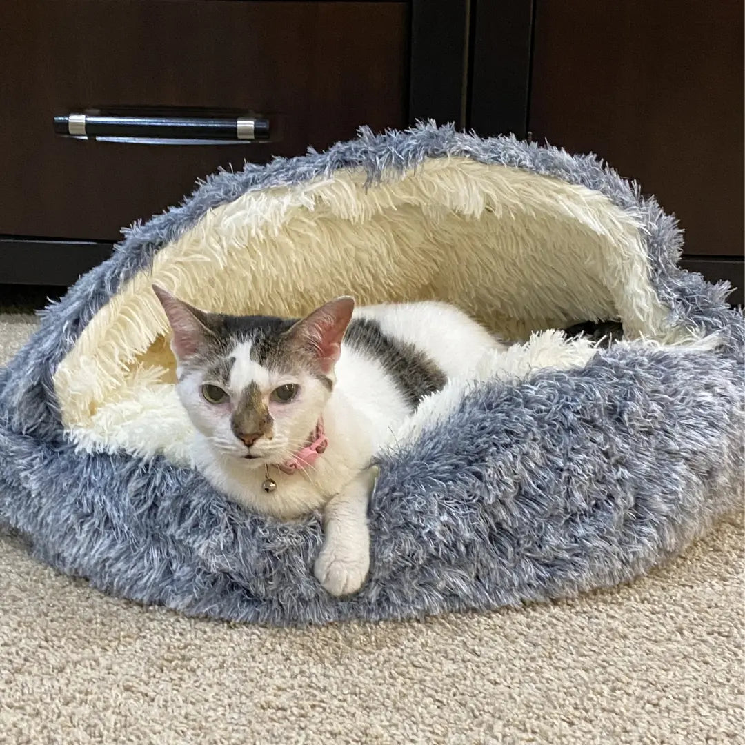 Warm Snuggle Haven - Comfort Cave