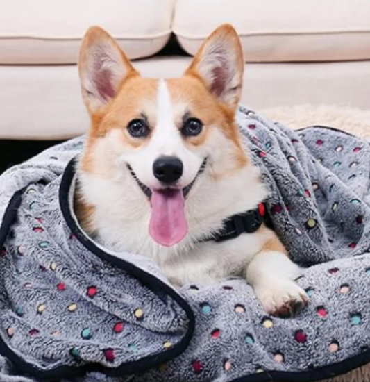 polka-dot blanket - pet blanket