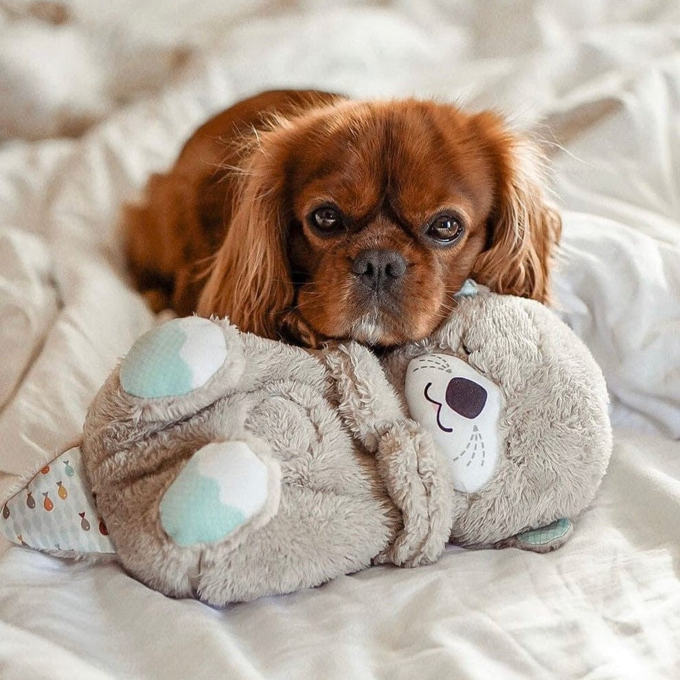 Virale Ademende Teddy™