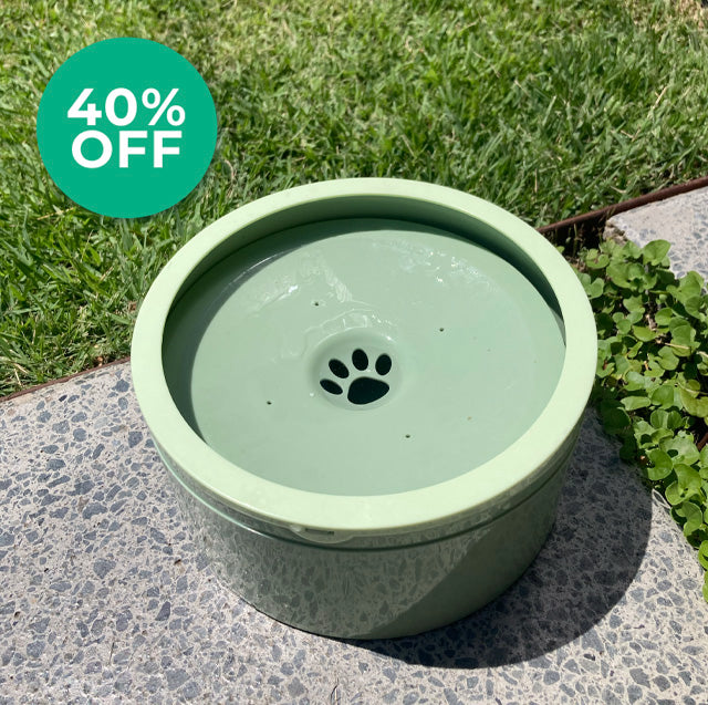 Doggo Dayz Zero Splash Dog Bowl - 1.5L