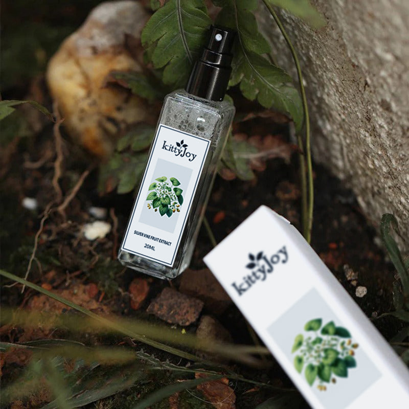 Pure Silvervine Extract | NylaTails