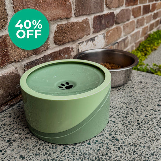 Doggo Dayz Zero Splash Dog Bowl - 1.5L