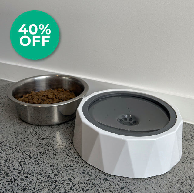 Doggo Dayz Zero Splash Dog Bowl - 1.5L