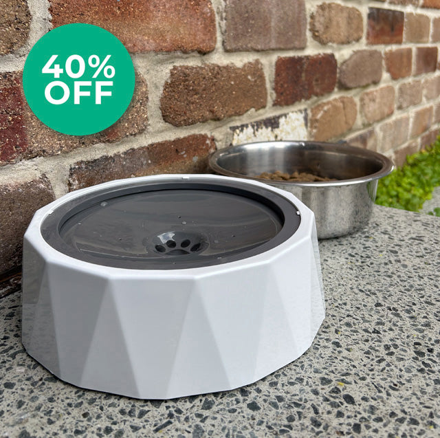 Doggo Dayz Zero Splash Dog Bowl - 1.5L