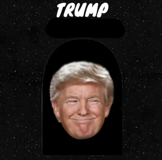 Lanneve Celeb Masks