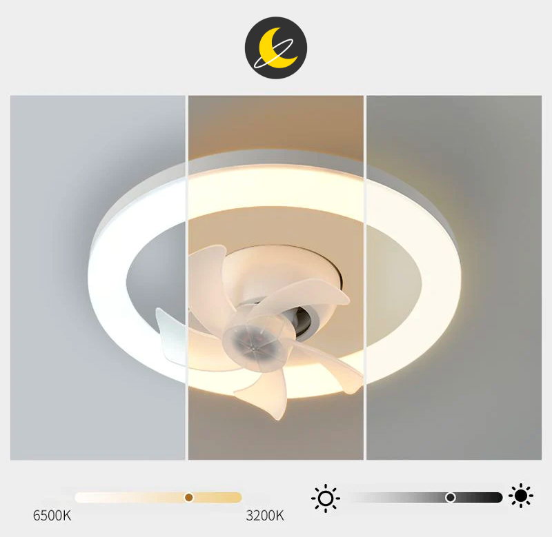 360° Fan Lamp™