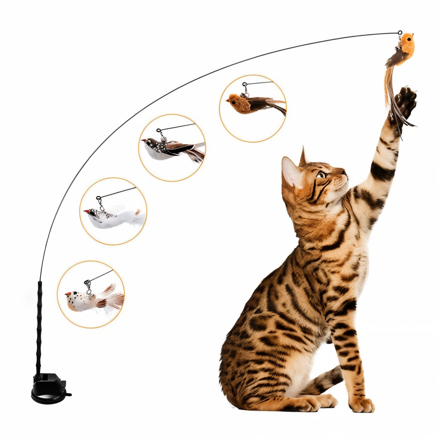 Interactive Bird Simulation Set | NylaTails