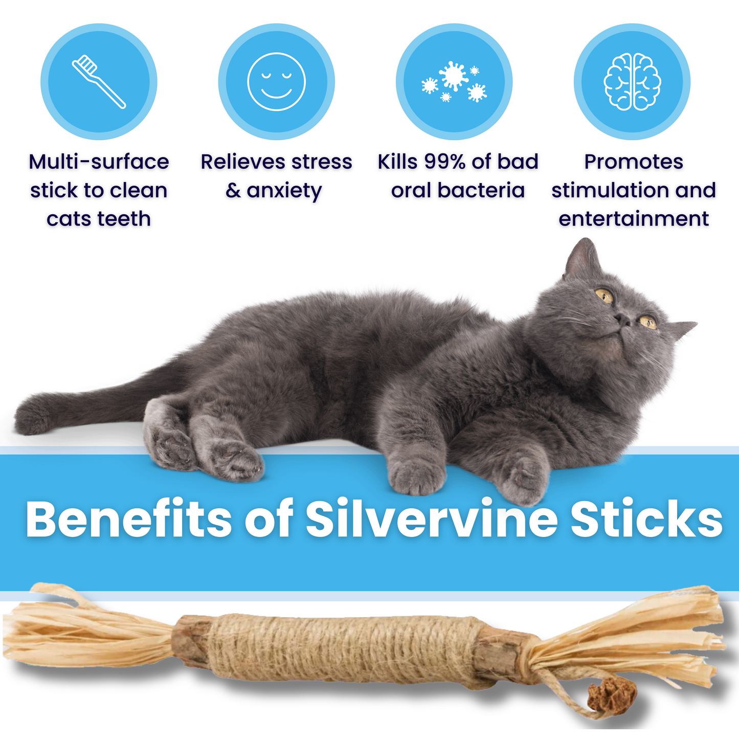 NylaTails® Silvervine Dental Sticks (Copy)
