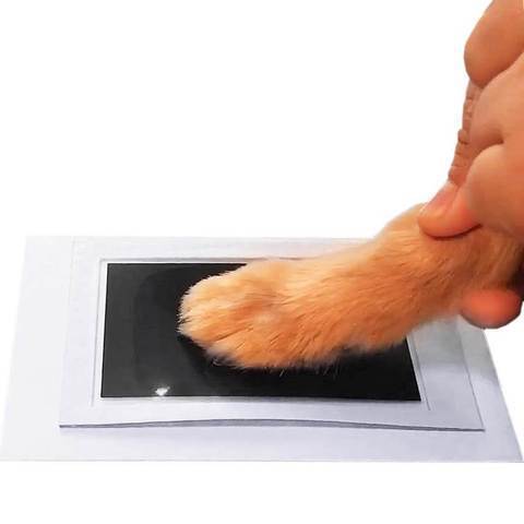 Paw Print Stamp Pad