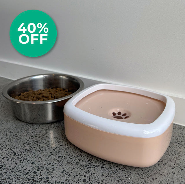 Doggo Dayz Zero Splash Dog Bowl - 1.5L