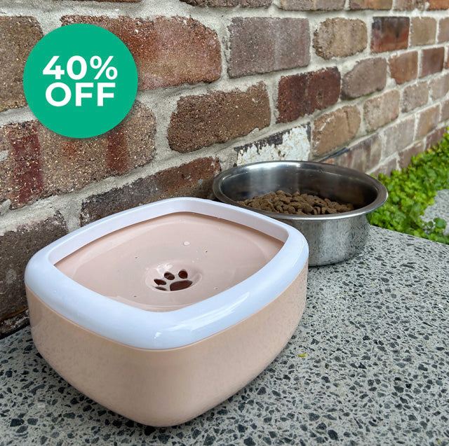 Doggo Dayz Zero Splash Dog Bowl - 1.5L