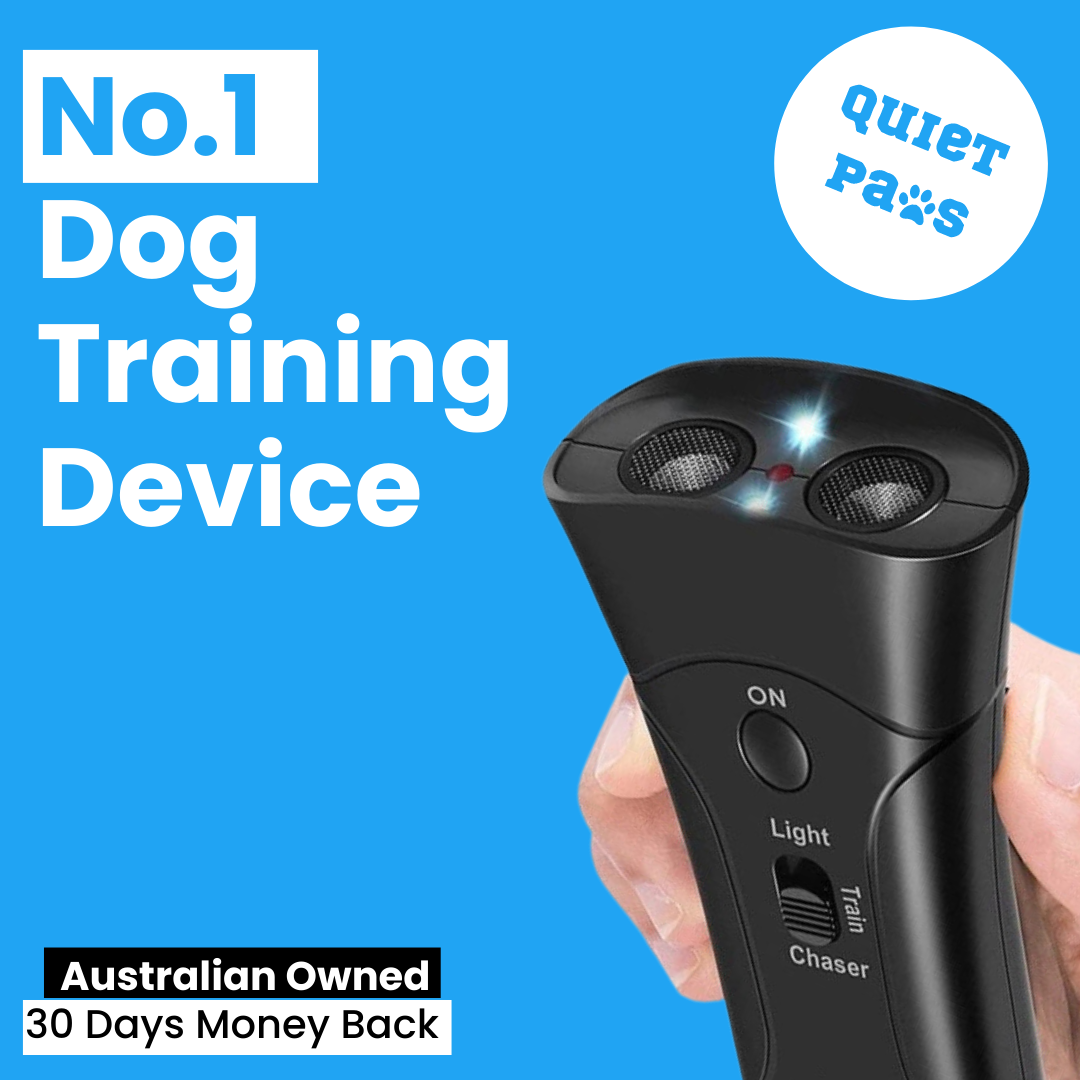 Handheld Dog Training Device