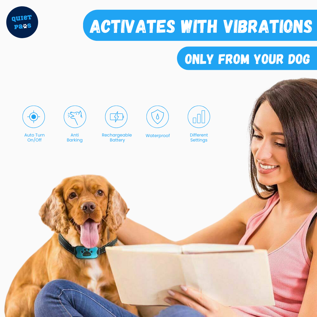 Vibrating Training Collar