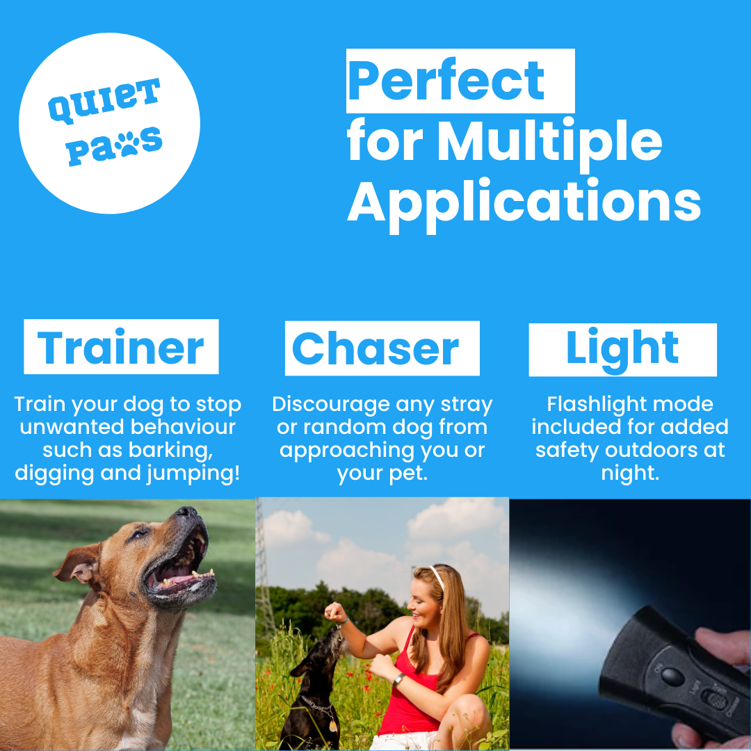 Handheld Dog Training Device