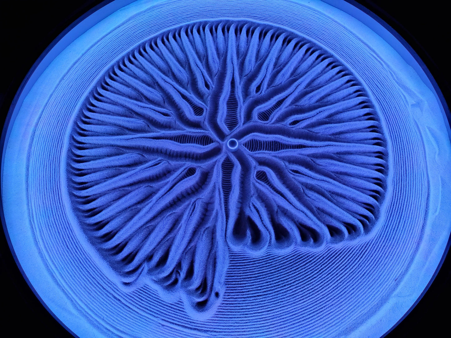 Nestfull™ - Kinetic Art Canvas