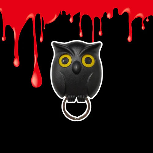 Spooky Night Owl Key Holder
