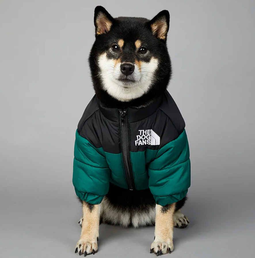 CozyPaws™