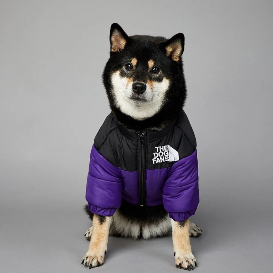 CozyPaws™